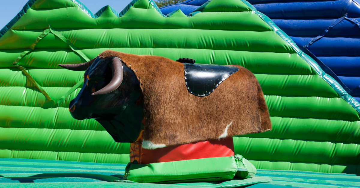 Mechanical Bull Insurance World Insurance Associates LLC